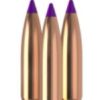 24090 B Nosler 6mm .243" 90gr Ballistic Tip Hunting bag 50 BLEM